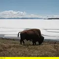 Wyoming - Im einsamen Herzen Amerikas Thumbnail