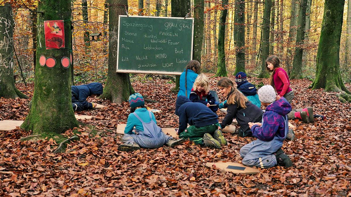 der wald ist mein schulzimmer - wie kinder im freien lernen