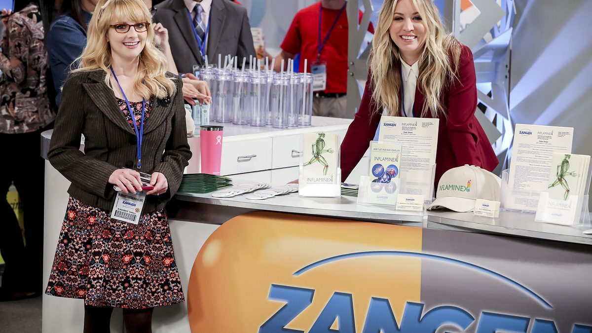 the big bang theory