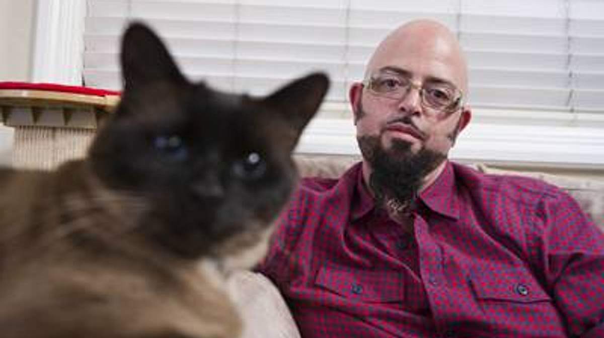 der katzenflüsterer