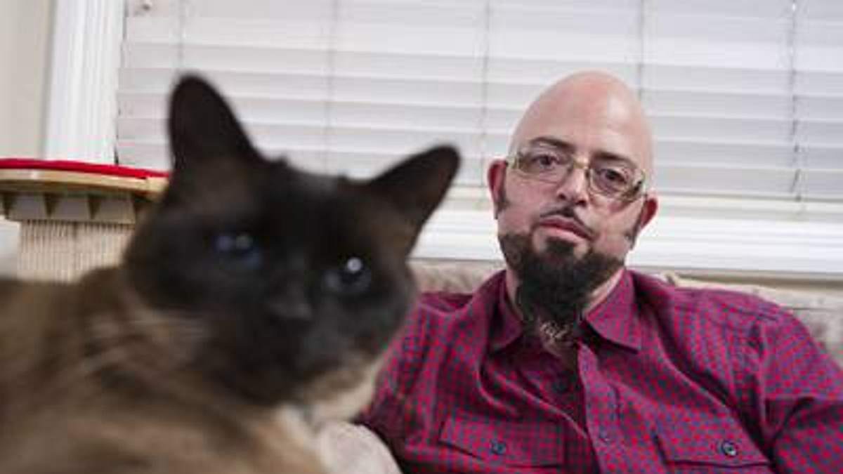 der katzenflüsterer