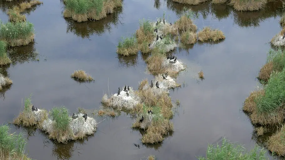 3satThementag: Österreich wild & schön / Universum 3satthementag: österreich wild & schön / universum