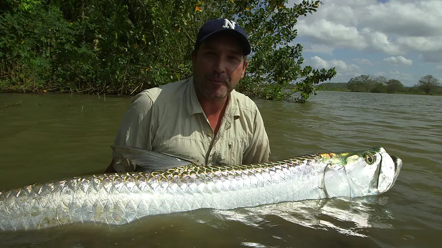 Zeb Hogans Monsterfische zeb hogans monsterfische