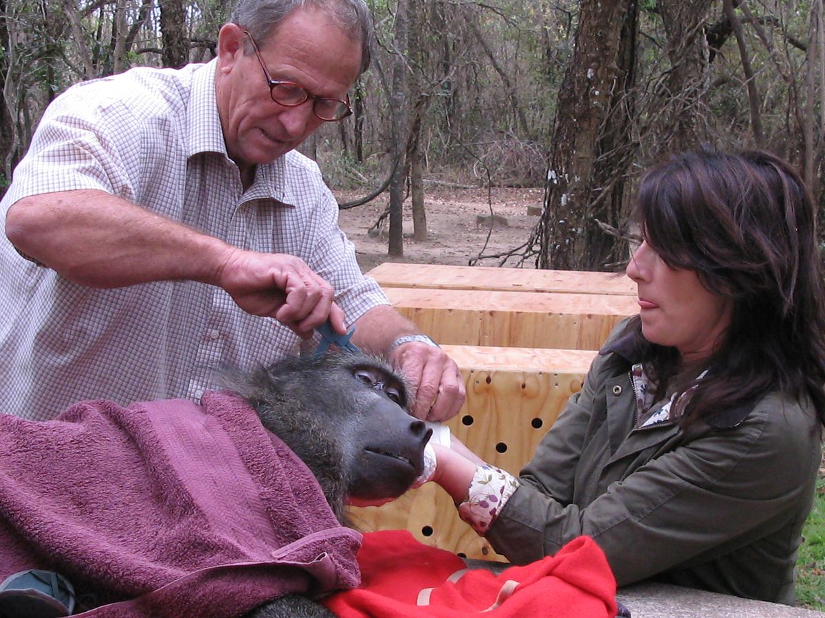Tierische Außenseiter tierische außenseiter
