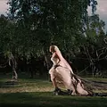 Melancholia Thumbnail