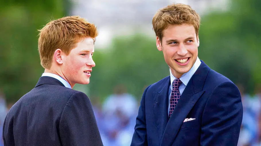 harry vs. william - der royale bruderzwist