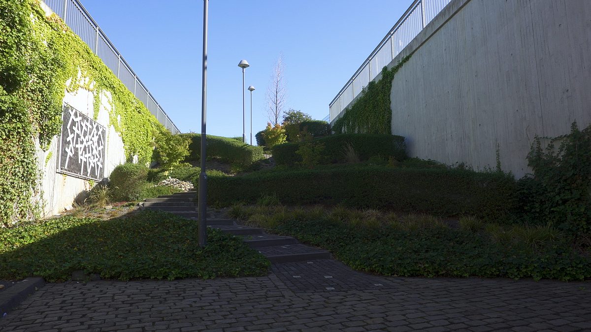 protokoll einer katastrophe