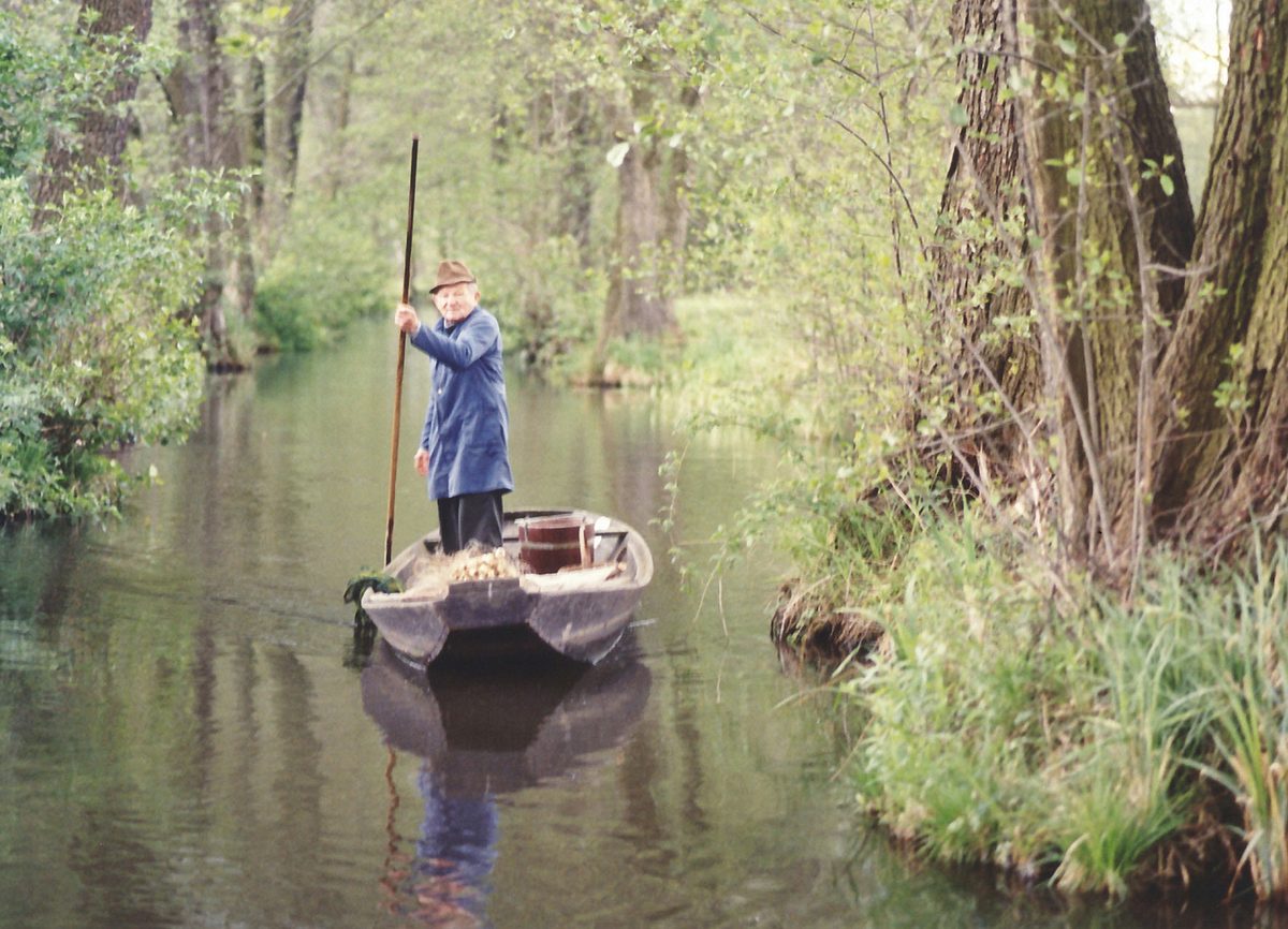 Spreewald - Labyrinth des Wassermanns spreewald - labyrinth des wassermanns