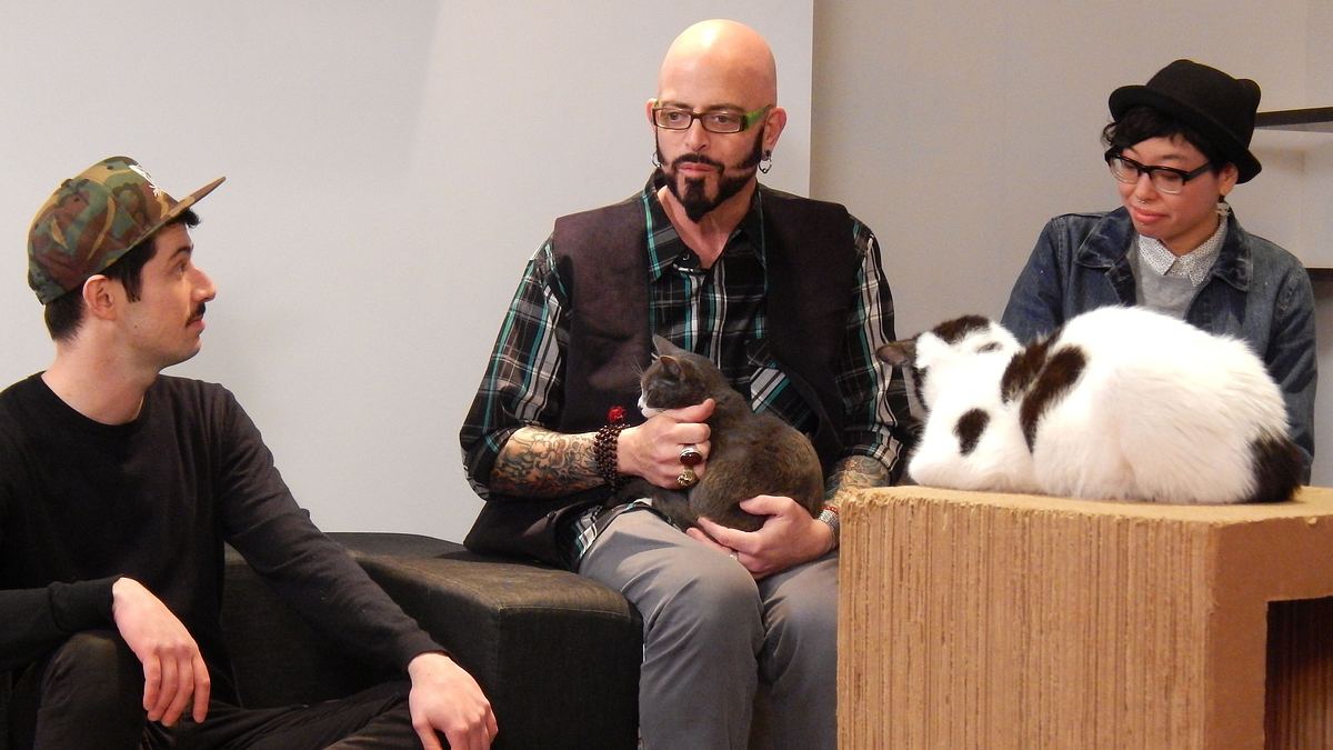 der katzenflüsterer