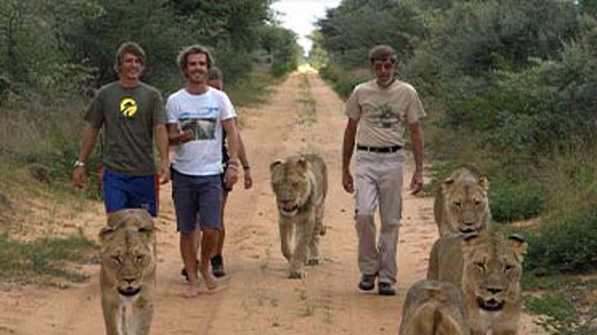 das waisenhaus für wilde tiere - abenteuer afrika
