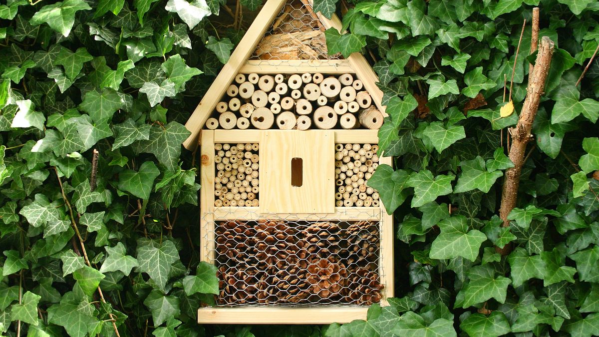 schnellflug durchs bienenjahr