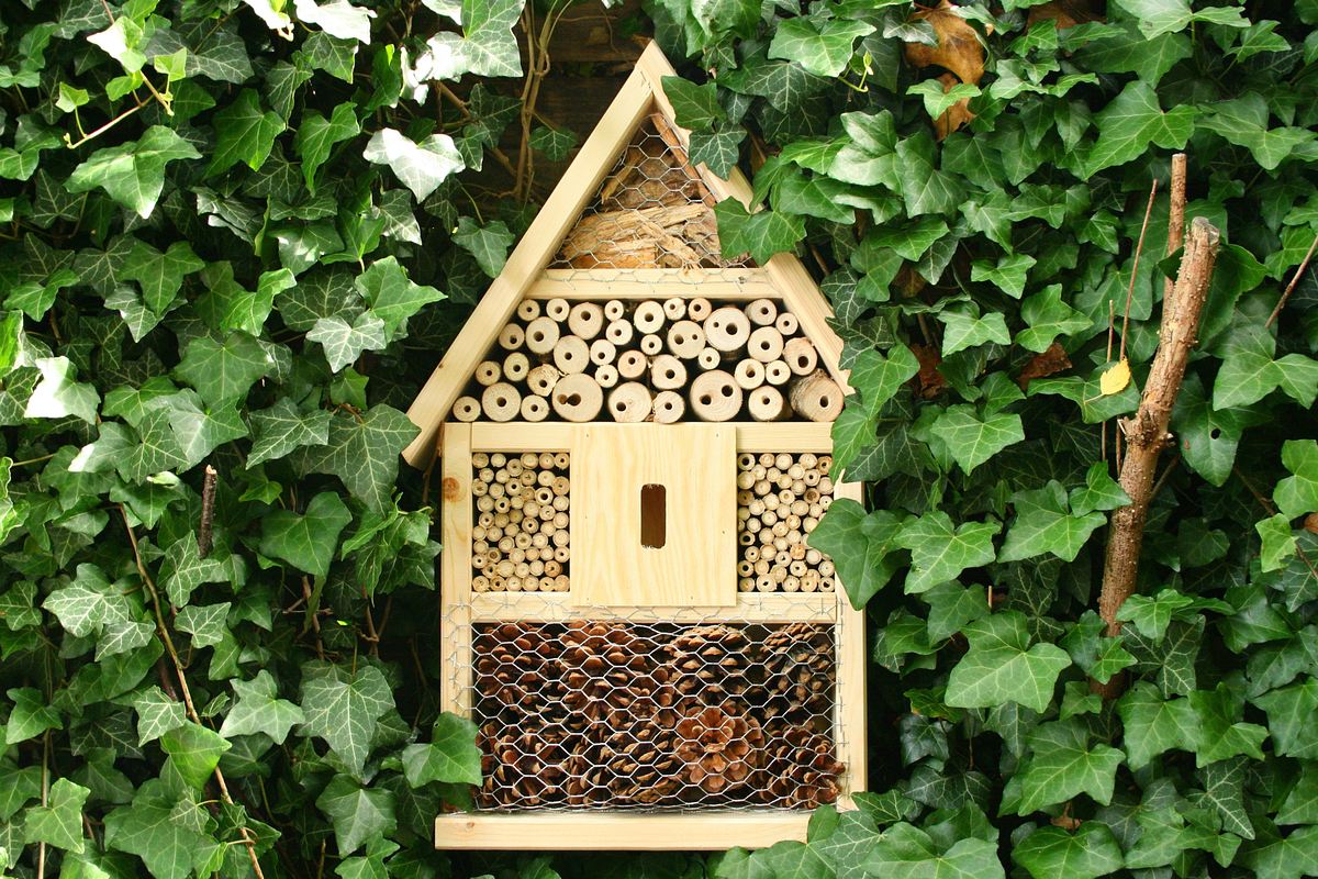 schnellflug durchs bienenjahr