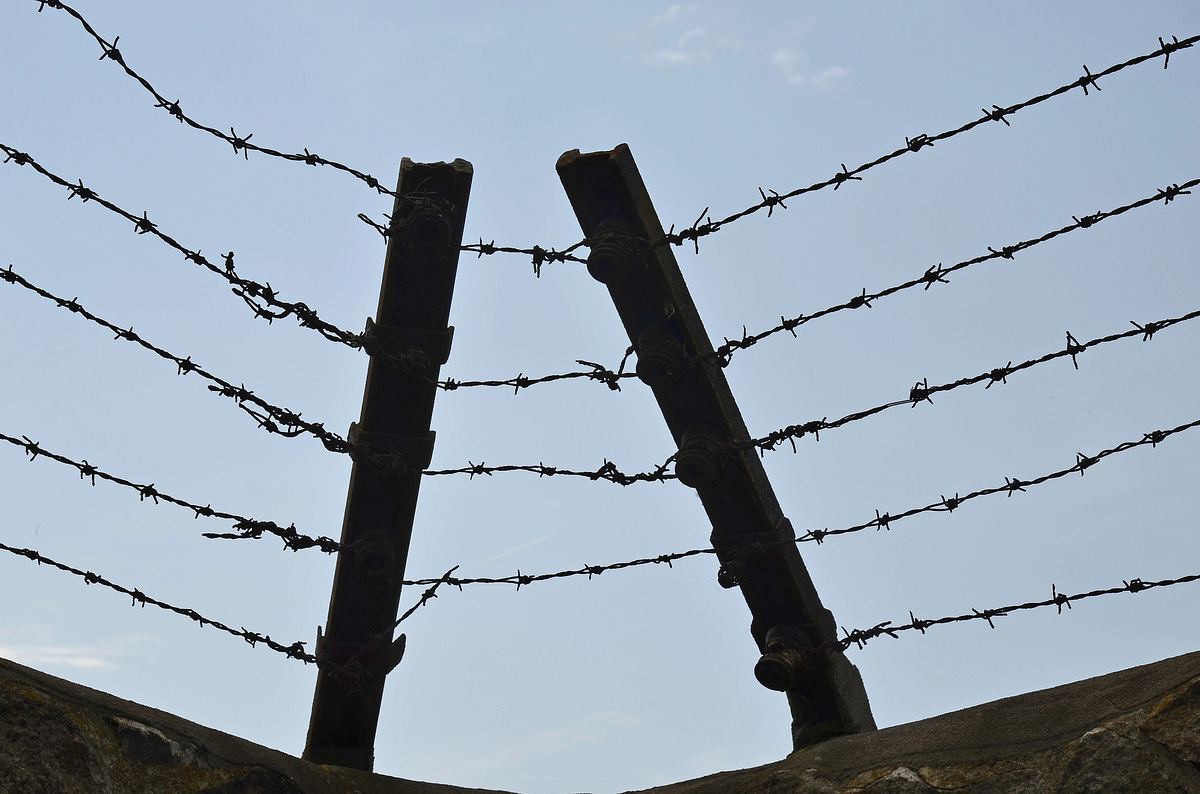 thema: 20. todestag simon wiesenthal