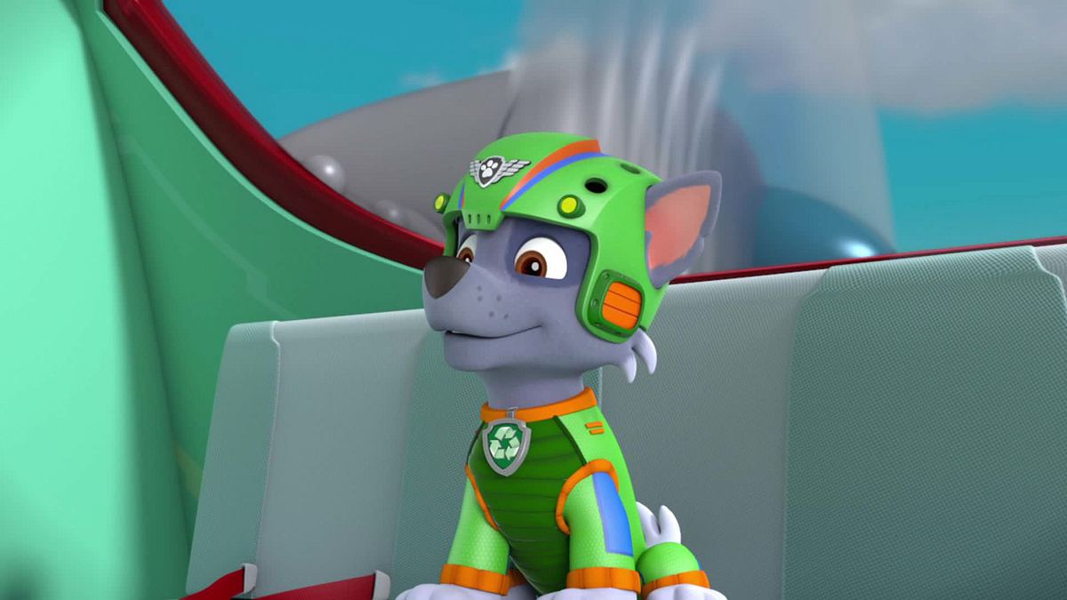 Paw Patrol - Helfer auf vier Pfoten paw patrol - helfer auf vier pfoten