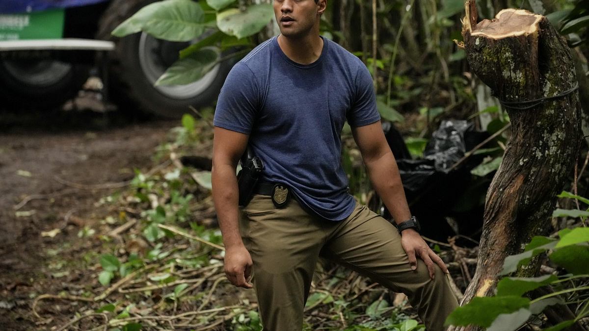 navy cis: hawaii