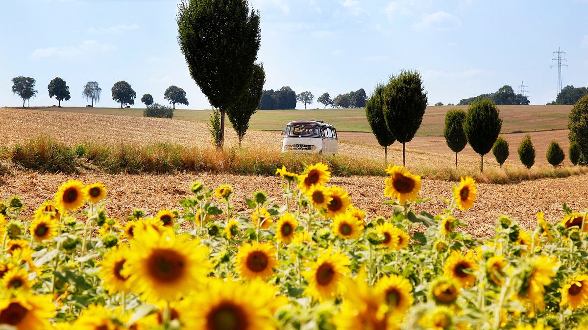 lecker aufs land - eine kulinarische reise