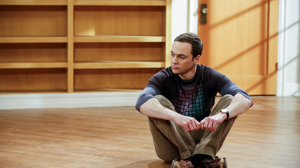 the big bang theory