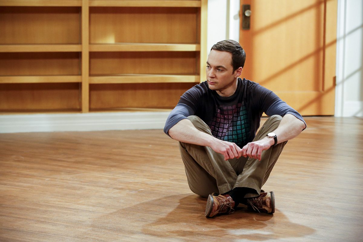 the big bang theory