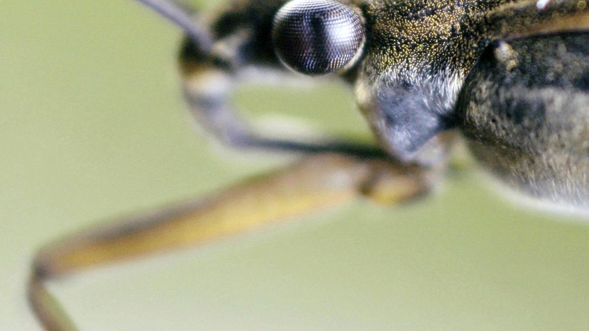 europas verborgene naturwunder