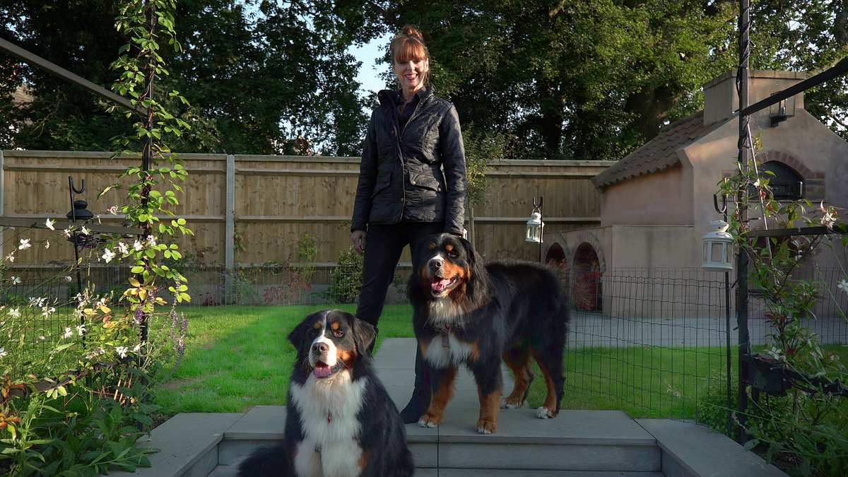 der hund oder ich!