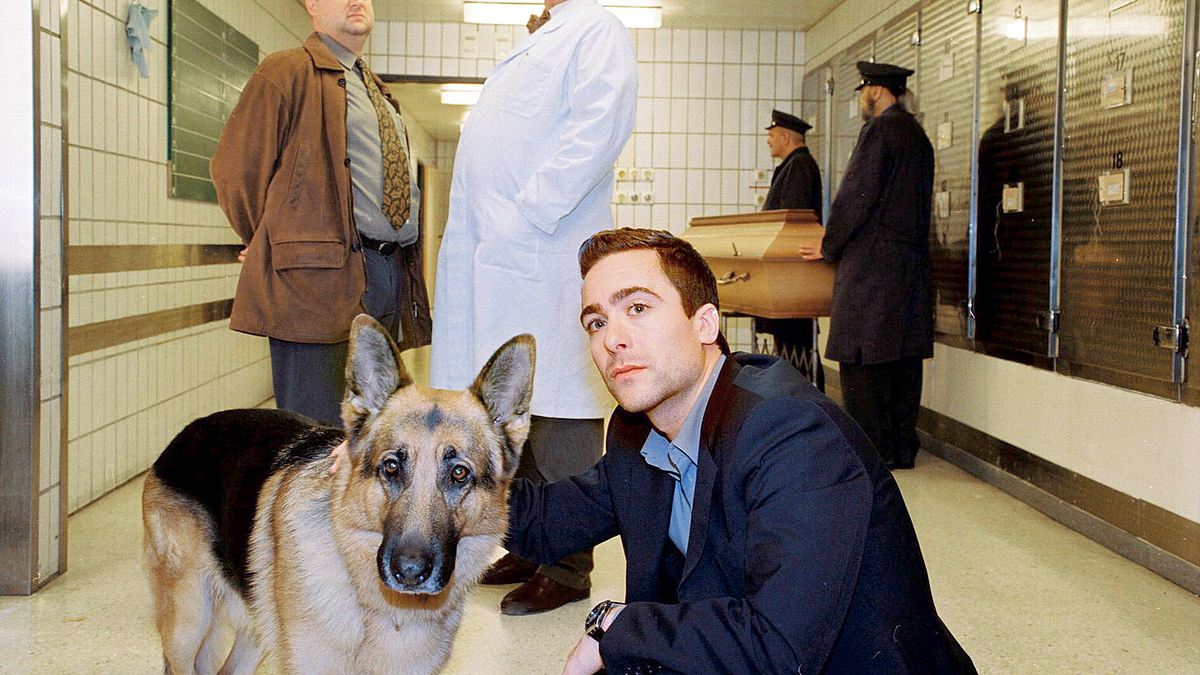 kommissar rex
