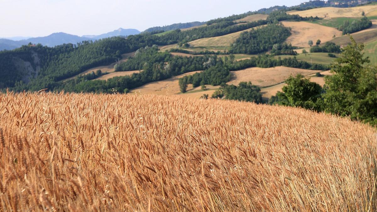 emilia-romagna - italiens genussregion
