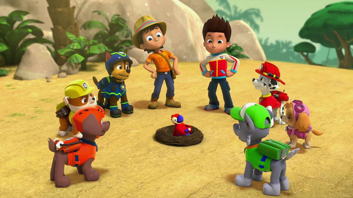 Paw Patrol - Helfer auf vier Pfoten paw patrol - helfer auf vier pfoten