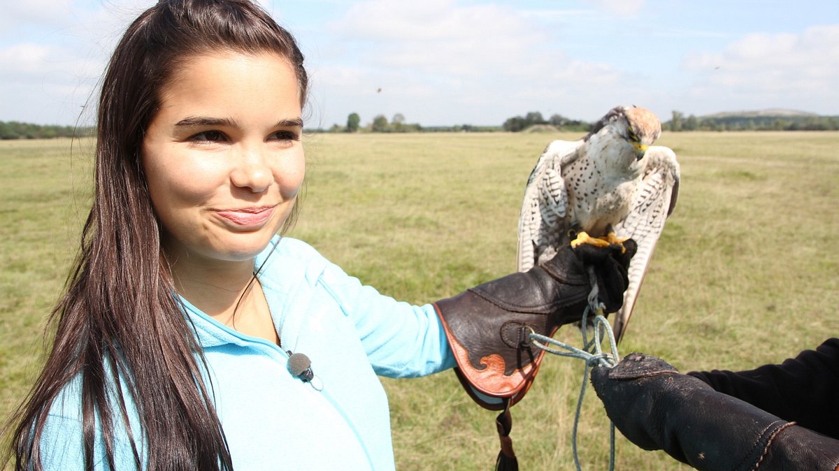 anna und die wilden tiere