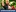 Video Platzhalter Video Platzhalter