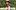 Video Platzhalter Video Platzhalter