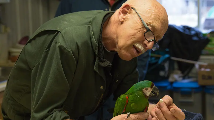 Der unglaubliche Dr. Pol der unglaubliche dr. pol