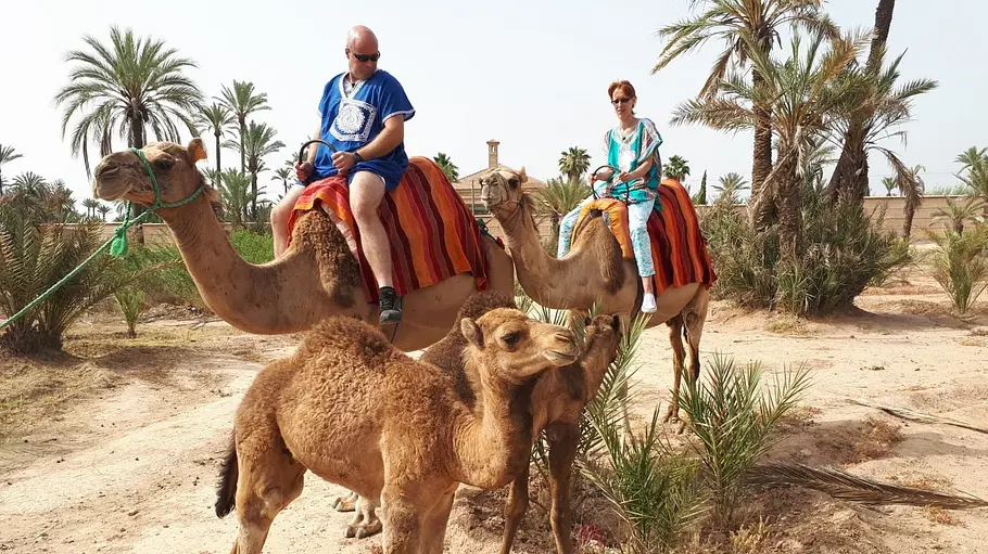 Urlaub für Anfänger urlaub für anfänger