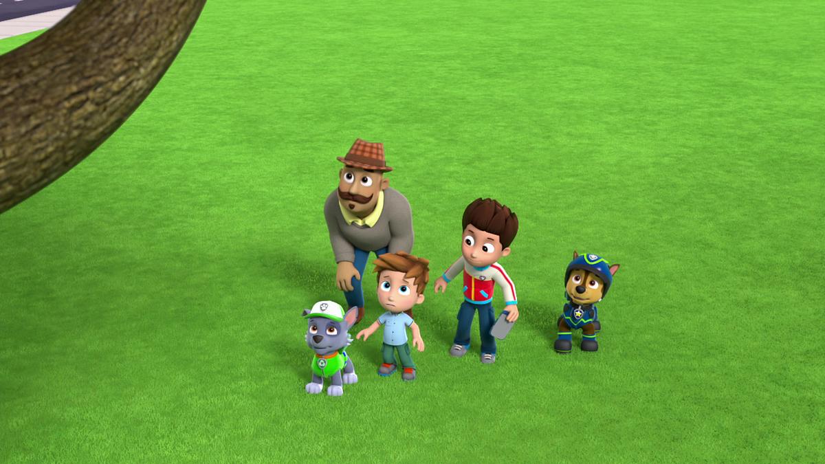 paw patrol - helfer auf vier pfoten
