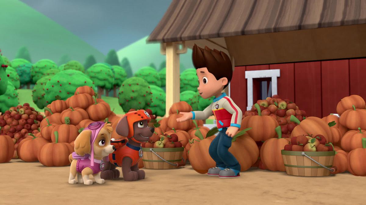 paw patrol - helfer auf vier pfoten