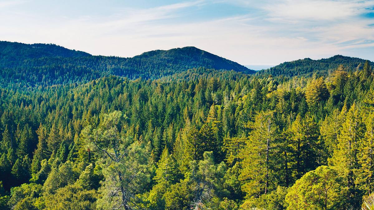 reisetipp südwest
