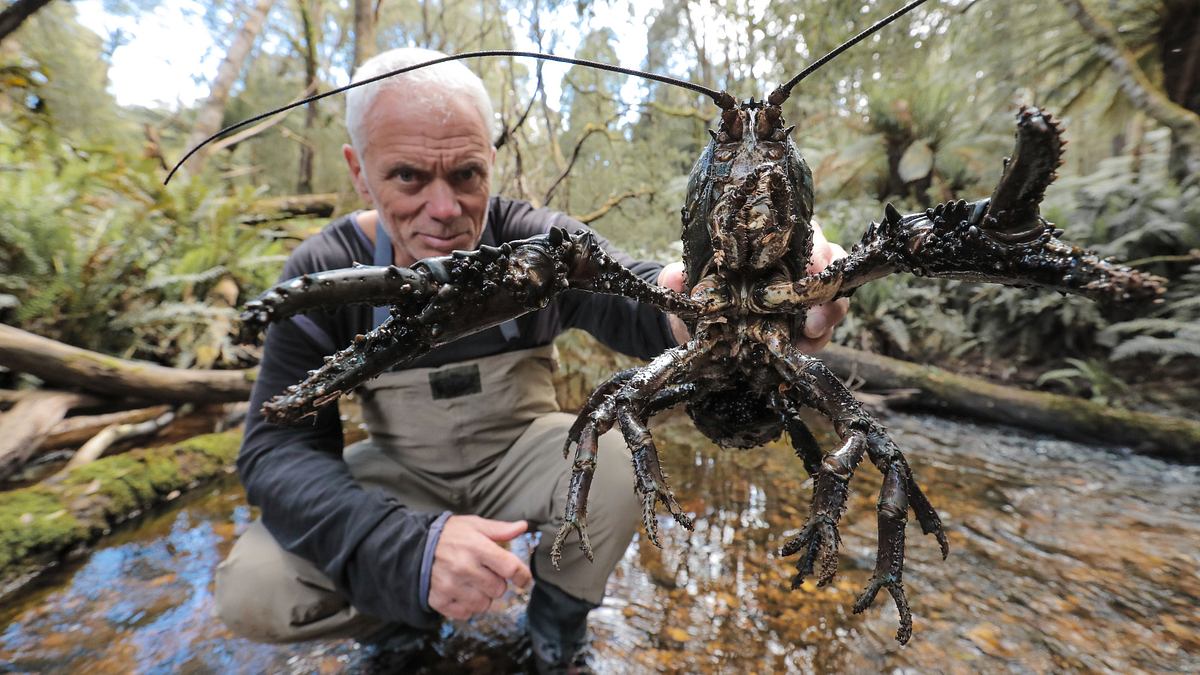 dark waters mit jeremy wade