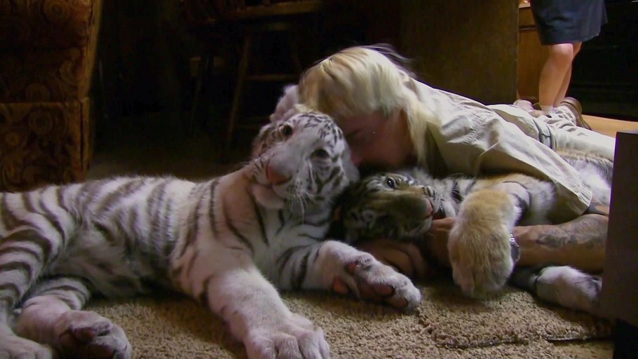 joe exotic: neue enthüllungen