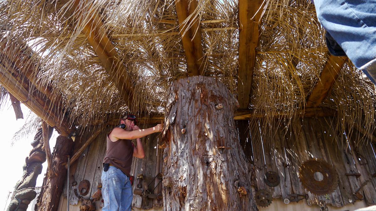Redwood Kings - Träume aus Holz redwood kings - träume aus holz