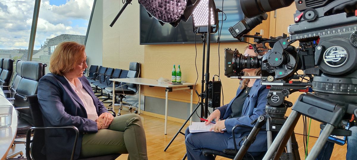 afd - aufstieg in der flüchtlingskrise