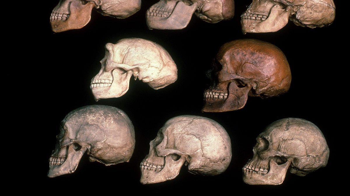 ancient aliens - unerklärliche phänomene
