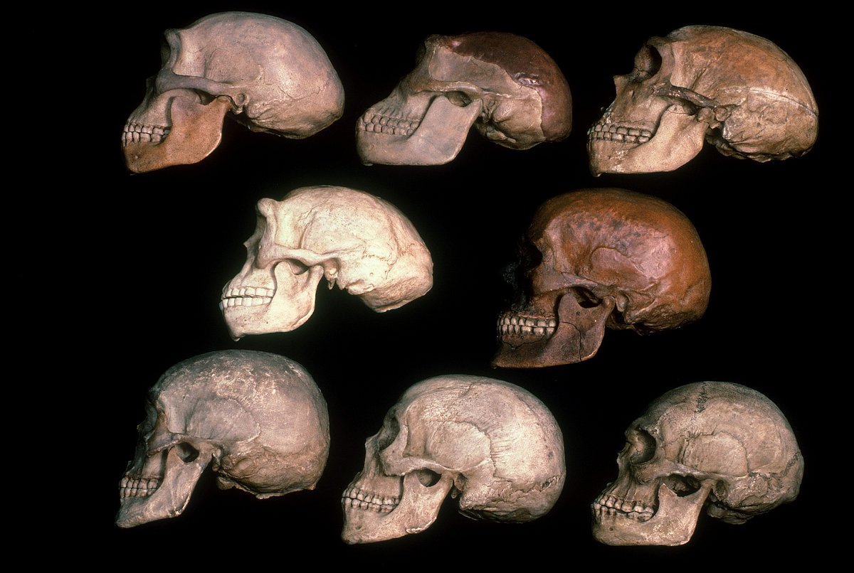 Ancient Aliens - Unerklärliche Phänomene ancient aliens - unerklärliche phänomene