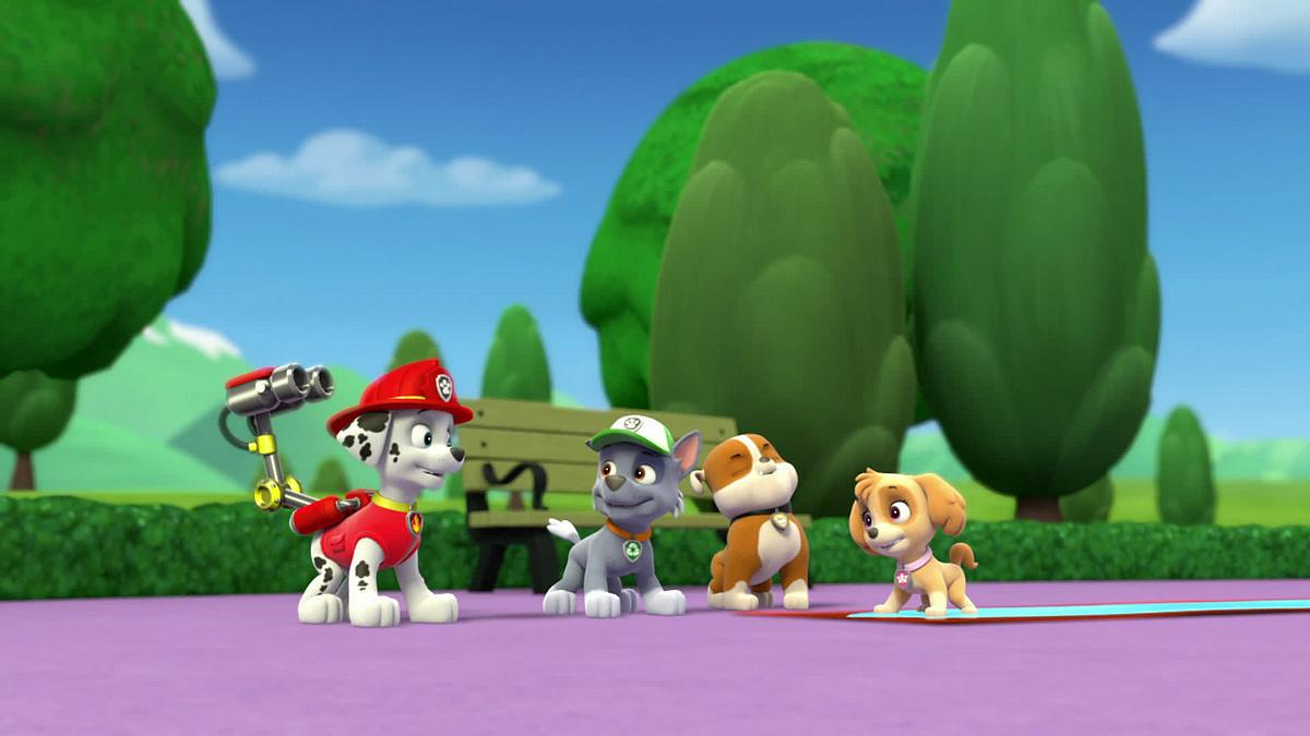 paw patrol - helfer auf vier pfoten