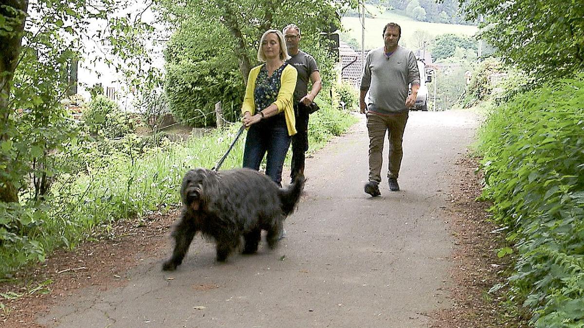 der hundeprofi