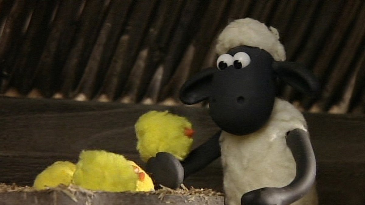 shaun das schaf