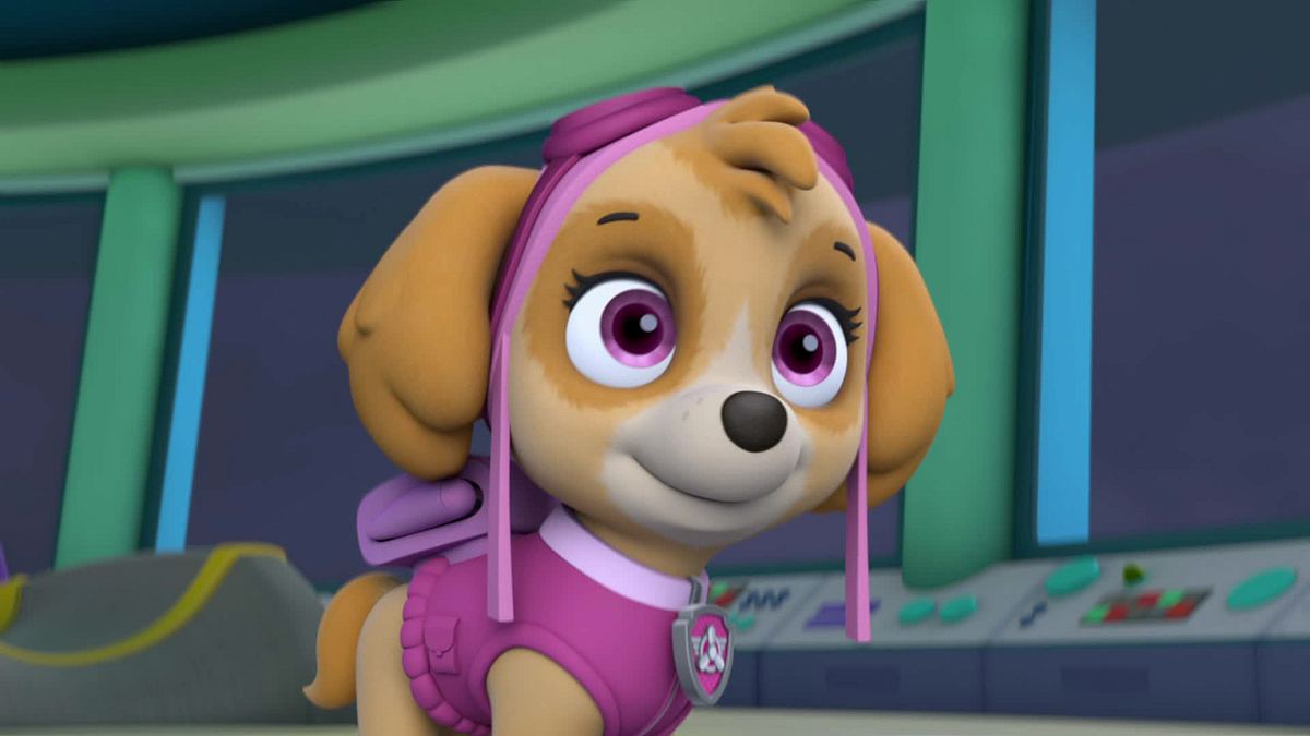 Paw Patrol - Helfer auf vier Pfoten paw patrol - helfer auf vier pfoten