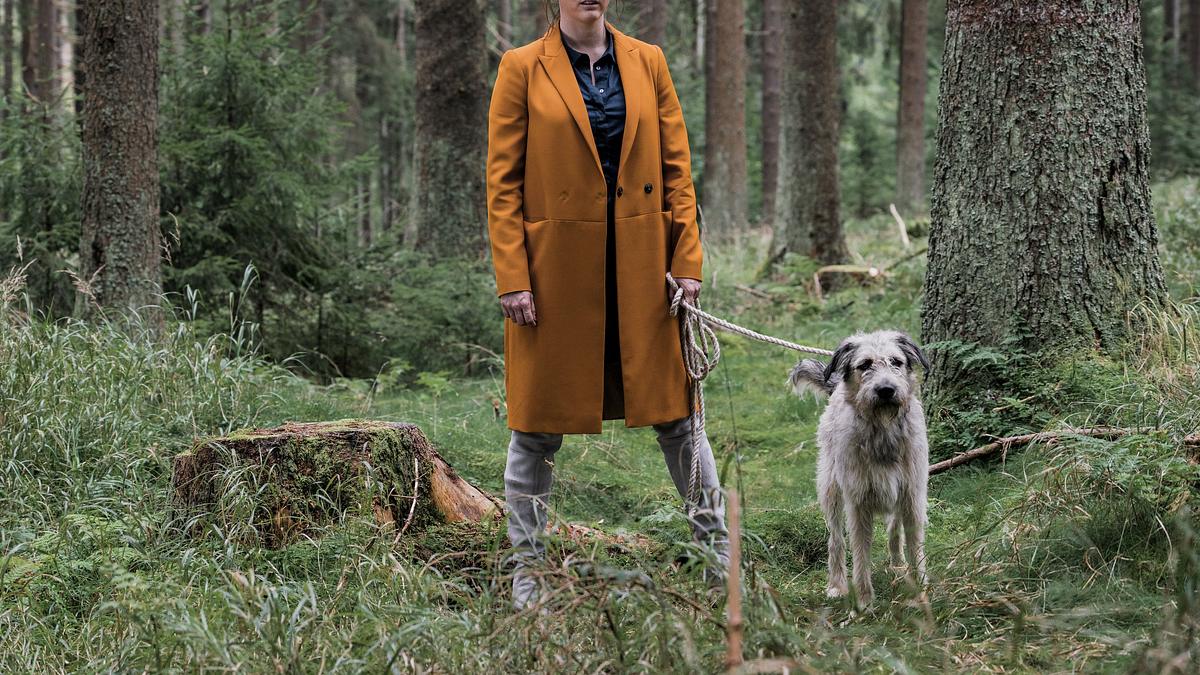 wuff - folge dem hund