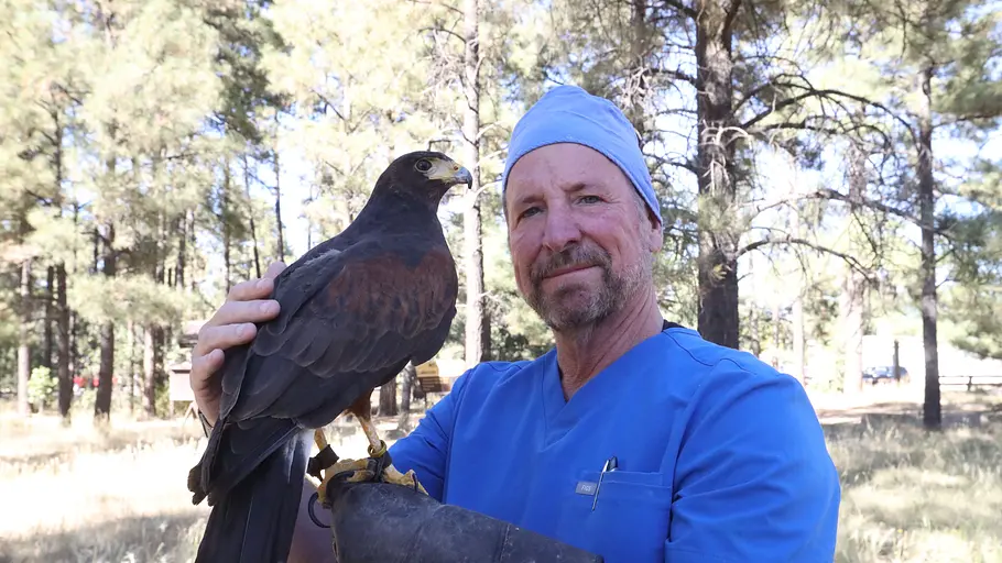 Dr. Ole: Tierarzt im Einsatz dr. ole: tierarzt im einsatz