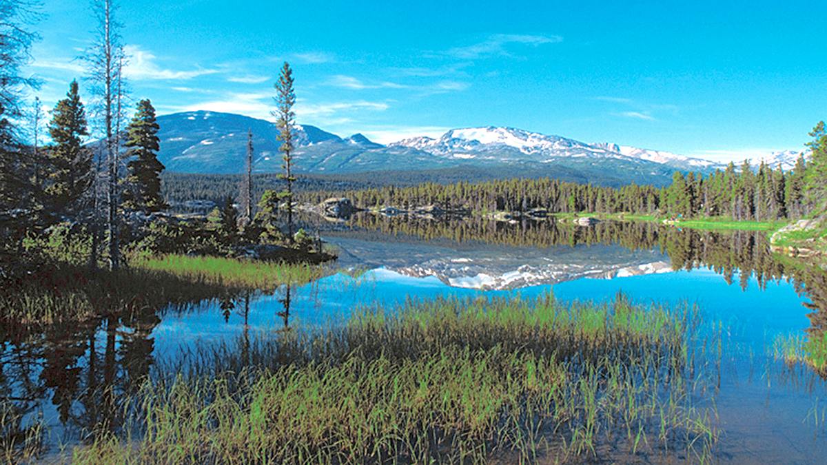 natur exclusiv