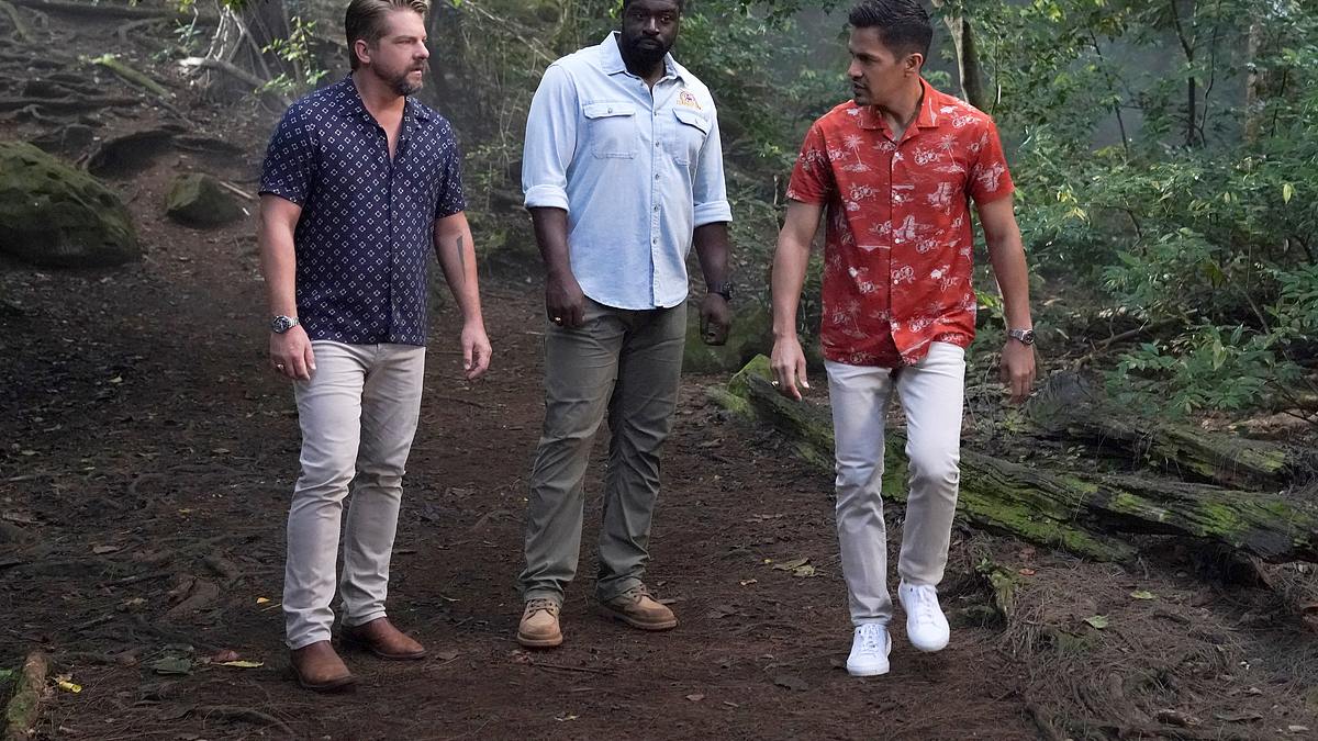 magnum p.i.