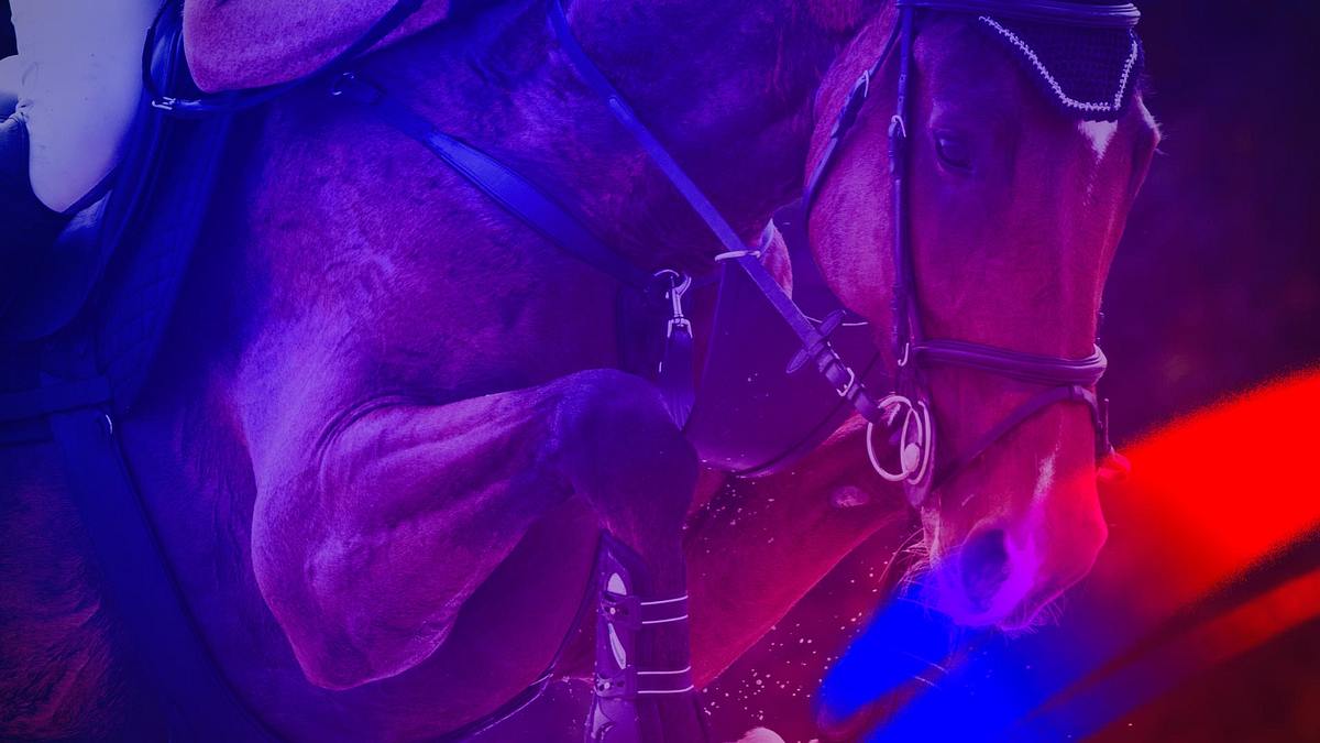 springreiten: league of nations